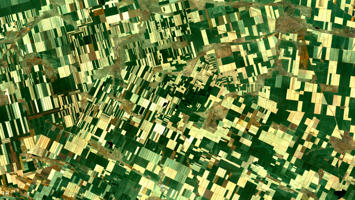 Capsat: Informatie uit satellietbeelden voor een beter landbouwbeleid