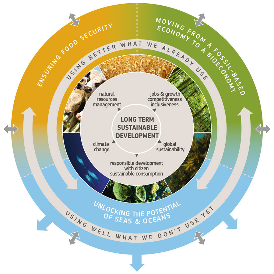 Grafische voorstelling in een circeldiagram van de bio-economie 