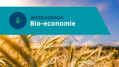 Werkagenda Bio-economie bij Vlaanderen Circulair