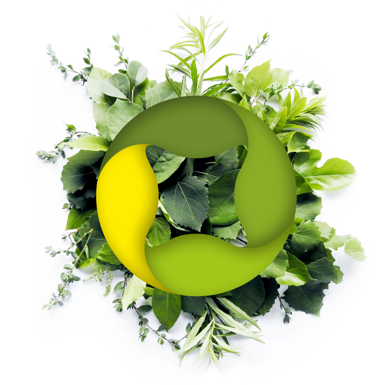 logo van circulair bovenop groene bladeren